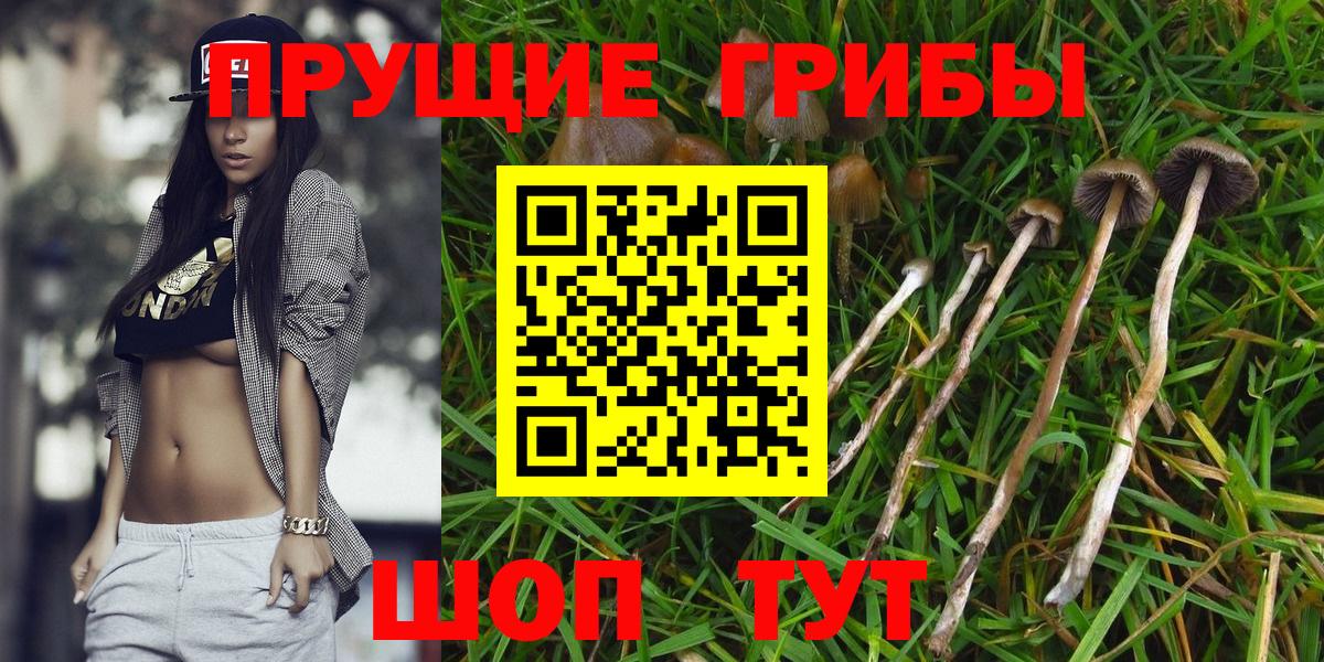 Галлюциногенные грибы мухоморы Железногорск