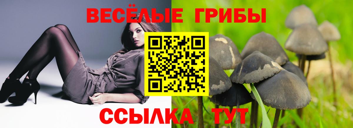 Псилоцибиновые грибы GOLDEN TEACHER  наркота  Железногорск  Вход с VPN 